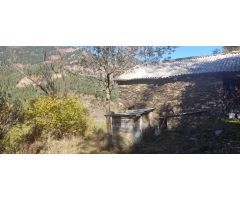 Borda centenària en Pal: história, naturaleza y posibilidades infinitas
