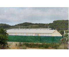 Nave industrial en Venta en Alcalà de Xivert, Castellón