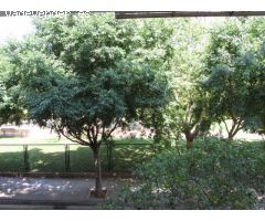 Primera Planta con encanto junto al Parc de Ses Fonts