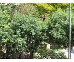 Primera Planta con encanto junto al Parc de Ses Fonts