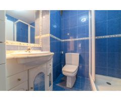 Vive Granada al Máximo: Piso de 1 Dorm. en Triunfo Jardín (Avda. Constitución)