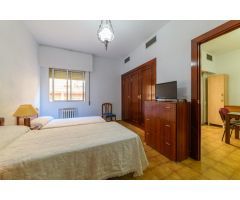 Vive Granada al Máximo: Piso de 1 Dorm. en Triunfo Jardín (Avda. Constitución)