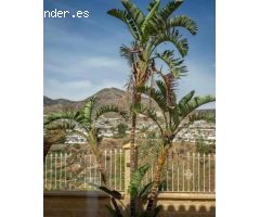 Villa con vistas al mar en Torrequebrada, Benalmadena