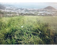 Venta de Parcela Rústica de 14,000 m² en la zona de Los Silos, Gáldar