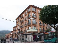 Amplio y Luminoso Apartamento en Avenida Alfonso VIII