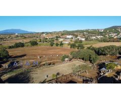 Hípica en venta en Tordera