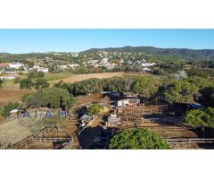 Hípica en venta en Tordera