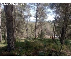 Lote de terrenos en Riudecanyes