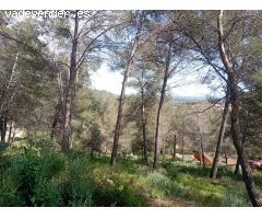 Lote de terrenos en Riudecanyes