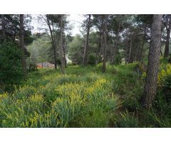 Lote de terrenos en Riudecanyes