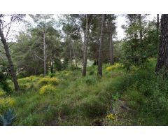 Lote de terrenos en Riudecanyes