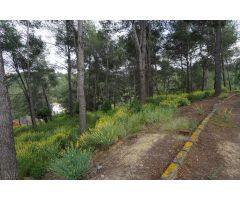Lote de terrenos en Riudecanyes