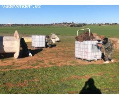 Paintball Valdilecha