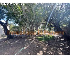 Parcela en Venta en Los Torrentes, Valencia