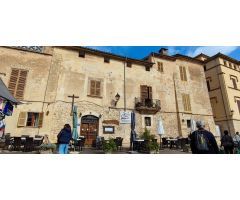 Oportunidad excepcional de inversión en Sineu, Mallorca ...