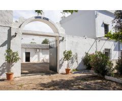 Finca con piscina y  casa de invitados  en La Rinconada, Sevilla