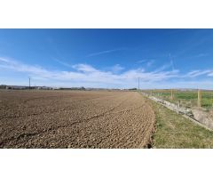 FINCA DE REGADIO CON ALMACEN EN ZAMORA