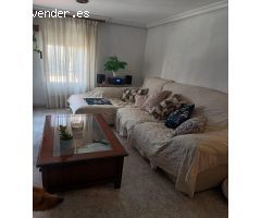 ALQUILER LARGA TEMPORADA EN PLENO CENTRO DE ELCHE(ALICANTE)