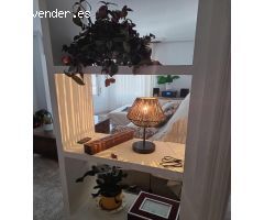 ALQUILER LARGA TEMPORADA EN PLENO CENTRO DE ELCHE(ALICANTE)