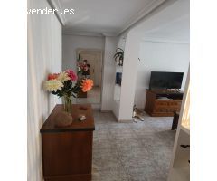 ALQUILER LARGA TEMPORADA EN PLENO CENTRO DE ELCHE(ALICANTE)