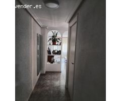 ALQUILER LARGA TEMPORADA EN PLENO CENTRO DE ELCHE(ALICANTE)