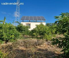 Magnifica finca sembrada de aguacates sostenible