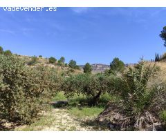 ¡Oportunidad Única! Finca de 55.000 m² en Yéchar con Vistas Panorámicas