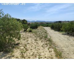 ¡Oportunidad Única! Finca de 55.000 m² en Yéchar con Vistas Panorámicas
