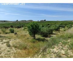 ¡Oportunidad Única! Finca de 55.000 m² en Yéchar con Vistas Panorámicas