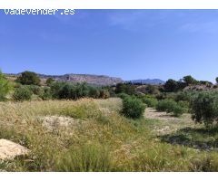 ¡Oportunidad Única! Finca de 55.000 m² en Yéchar con Vistas Panorámicas
