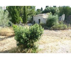 FINCA RÚSTICA EN LLOSETA