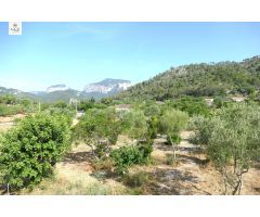 FINCA RÚSTICA EN LLOSETA
