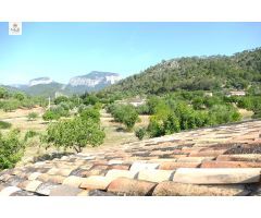 FINCA RÚSTICA EN LLOSETA