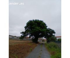 Solar urbano en Berdillo, Lugar Aseñado, Carballo