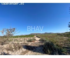 Finca rustica en Venta en Lagostelle, Alicante