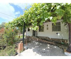 VENTA PARCELA CON CASA Y PISCINA.ZONA PRADO DEL REY