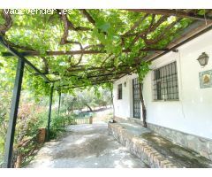 VENTA PARCELA CON CASA Y PISCINA.ZONA PRADO DEL REY
