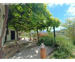 VENTA PARCELA CON CASA Y PISCINA.ZONA PRADO DEL REY
