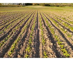 VENTA ESPECTACULAR FINCA RÚSTICA CERCANA A EL BOSQUE