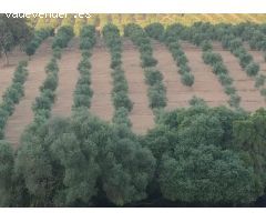 VENTA ESPECTACULAR FINCA RÚSTICA CERCANA A EL BOSQUE
