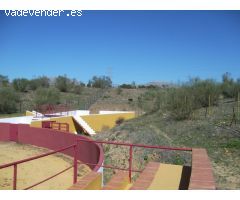 Finca en Venta en Alora, Málaga