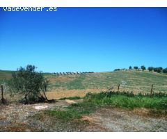 Finca en Venta en Alora, Málaga