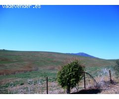Finca en Venta en Alora, Málaga