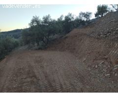 PARCELA RUSTICA 1101 MT CON SUPERFICIE PLANA CAMINO ASFALTADO