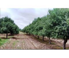  en Venta en Mairena del Alcor, Sevilla