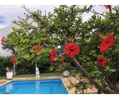 Chalet en Venta en Alcalá de Guadaira, Sevilla