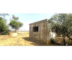  en Venta en Alcalá de Guadaira, Sevilla
