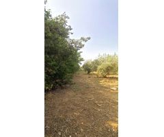  en Venta en Alcalá de Guadaira, Sevilla