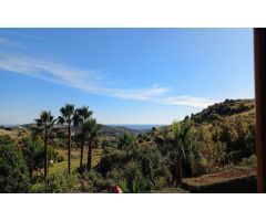Finca rustica en Venta en Estepona, Málaga