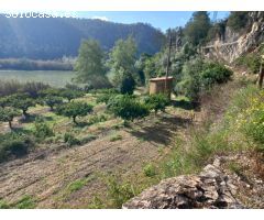 OPORTUNIDAD FINCA CON CASA DE CAMPO LINDANDO CON EL EBRO EN MIRAVET